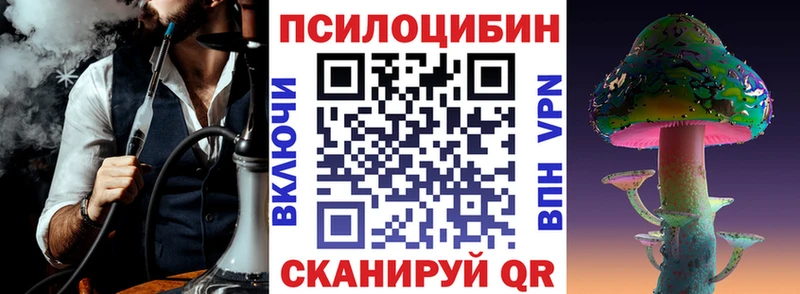 как найти Нязепетровск Галлюциногенные грибы MAGIC MUSHROOMS